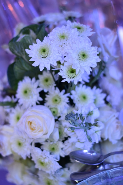 Wedding of Abbas Chamssedine and Manal Safa Part2
